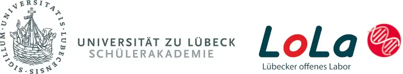 Lübeck offenes Labor (LoLa) der Universität zu Lübeck Schülerakademie